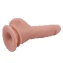 202412050844393729.webp