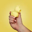 Unihorn-Bean-Blossom-In-Hand.webp