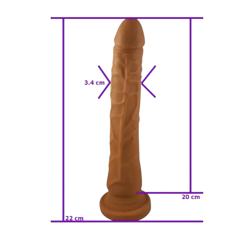 [SE-1413-60-3] Weighted C-Ring Ball Stretcher - Large - Calexotics-resized (8).webp